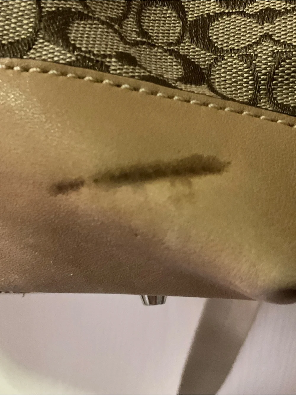 Signature Pattern Tote Bag in Tan